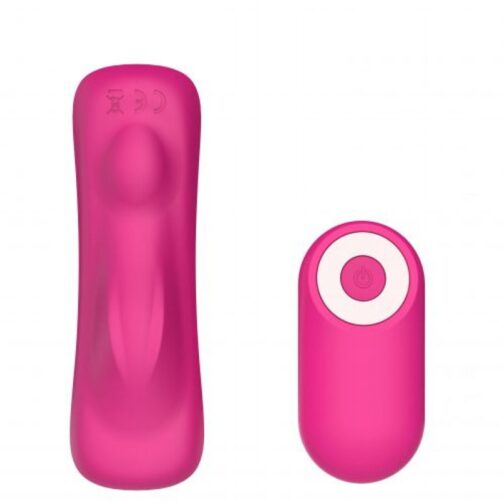 sugar panty vibrator 1