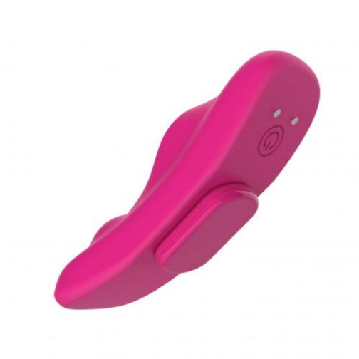 sugar panty vibrator 2