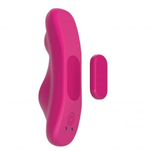 sugar panty vibrator 3